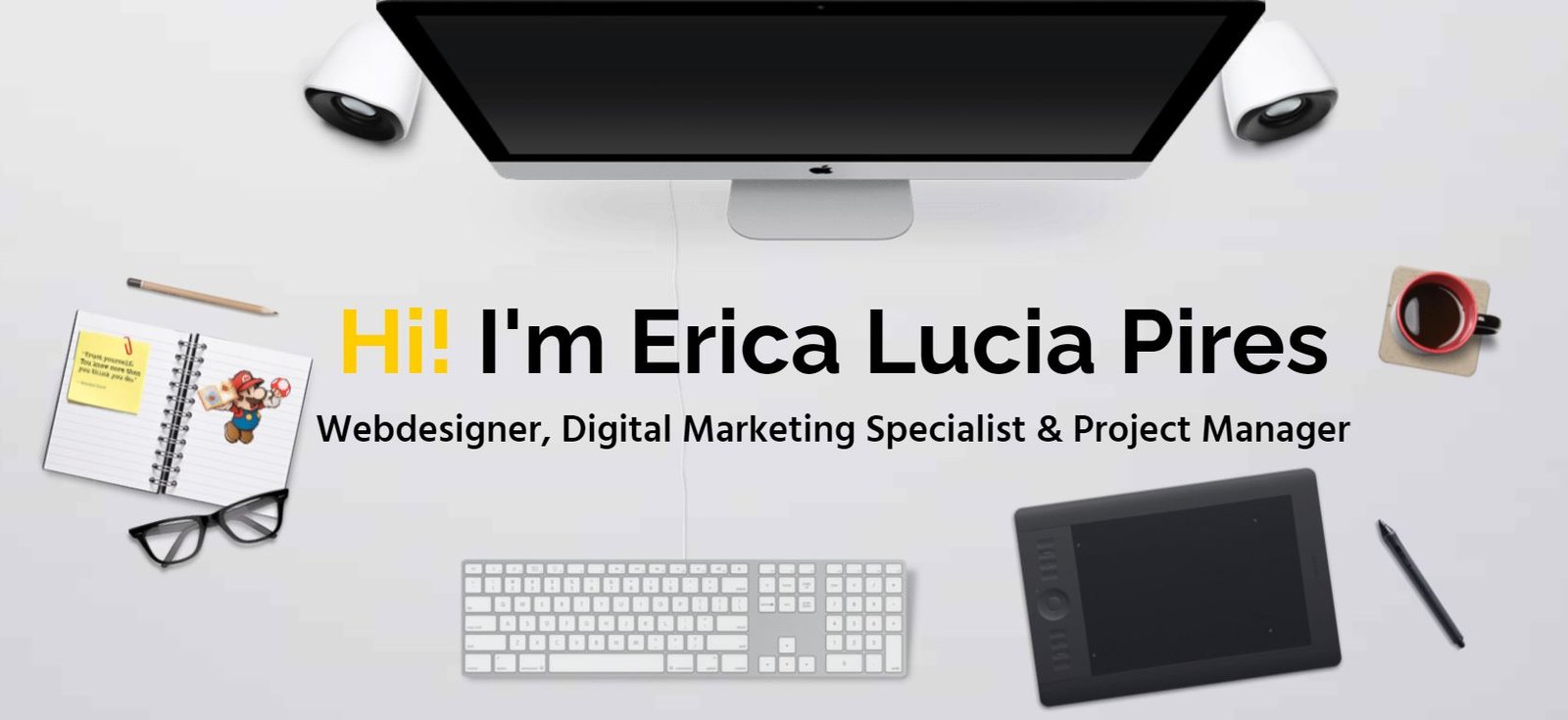 banner home erica pires